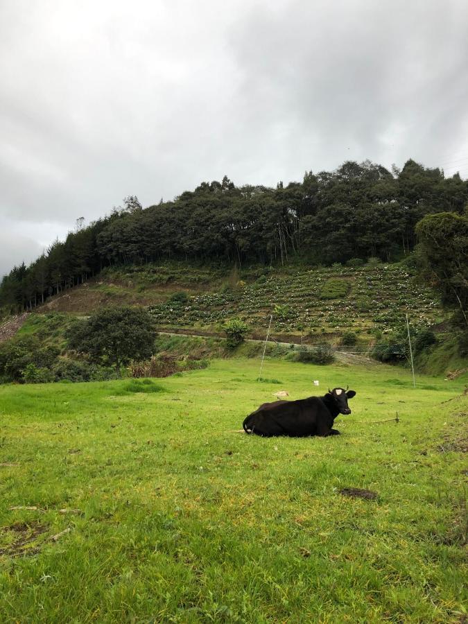 Premium Holiday Cabin - Spectacular Tungurahua Volcano View Banos  Bagian luar foto