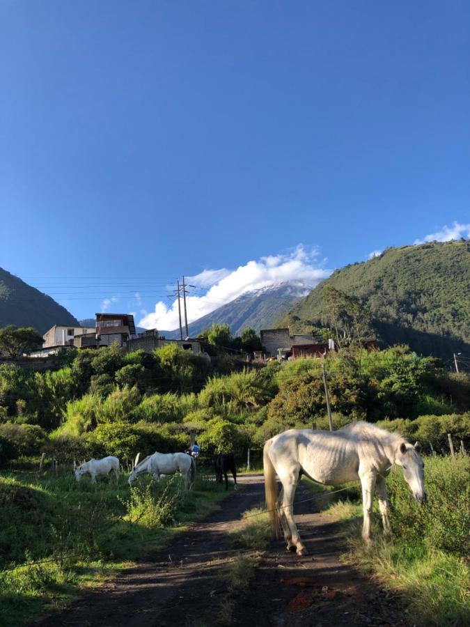 Premium Holiday Cabin - Spectacular Tungurahua Volcano View Banos  Bagian luar foto